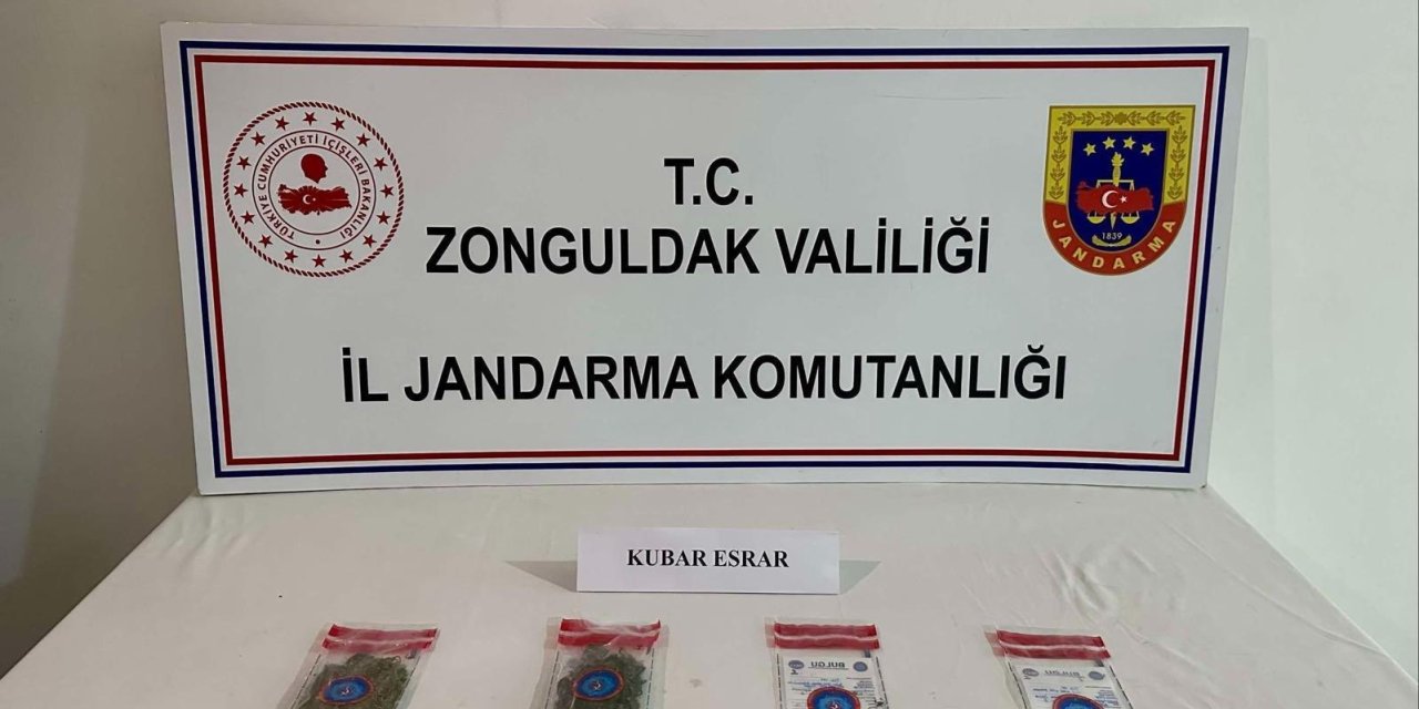 Zonguldak’ta jandarmadan narkotik operasyonu: 14 gözaltı
