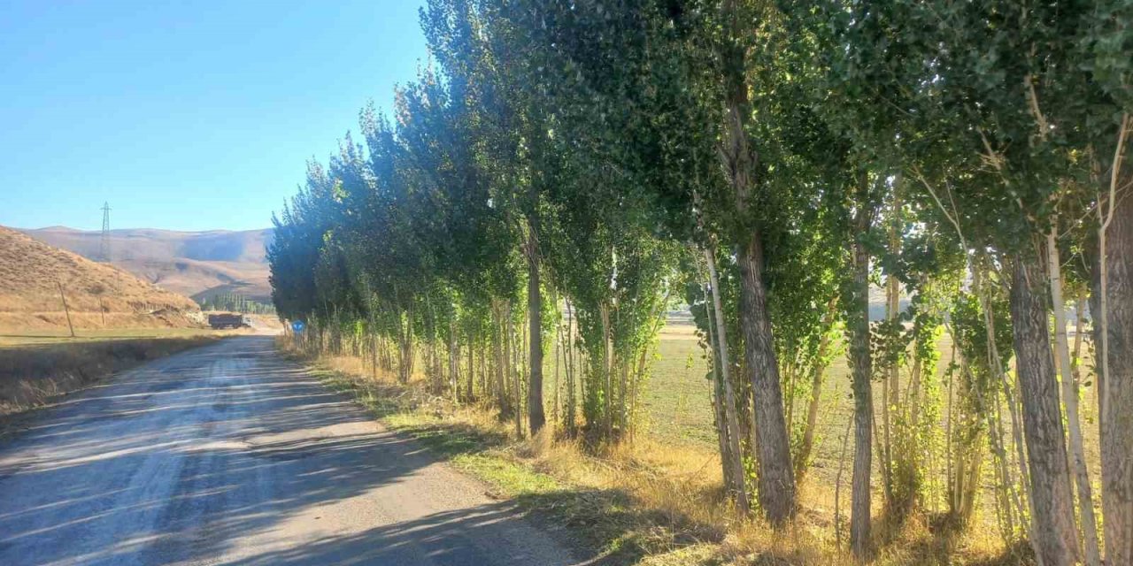 Bayburtlu vatandaştan DSİ’ye tepki: "Hiçbir gerekçe göstermeden fidanlarımızı katletmek istiyorlar"