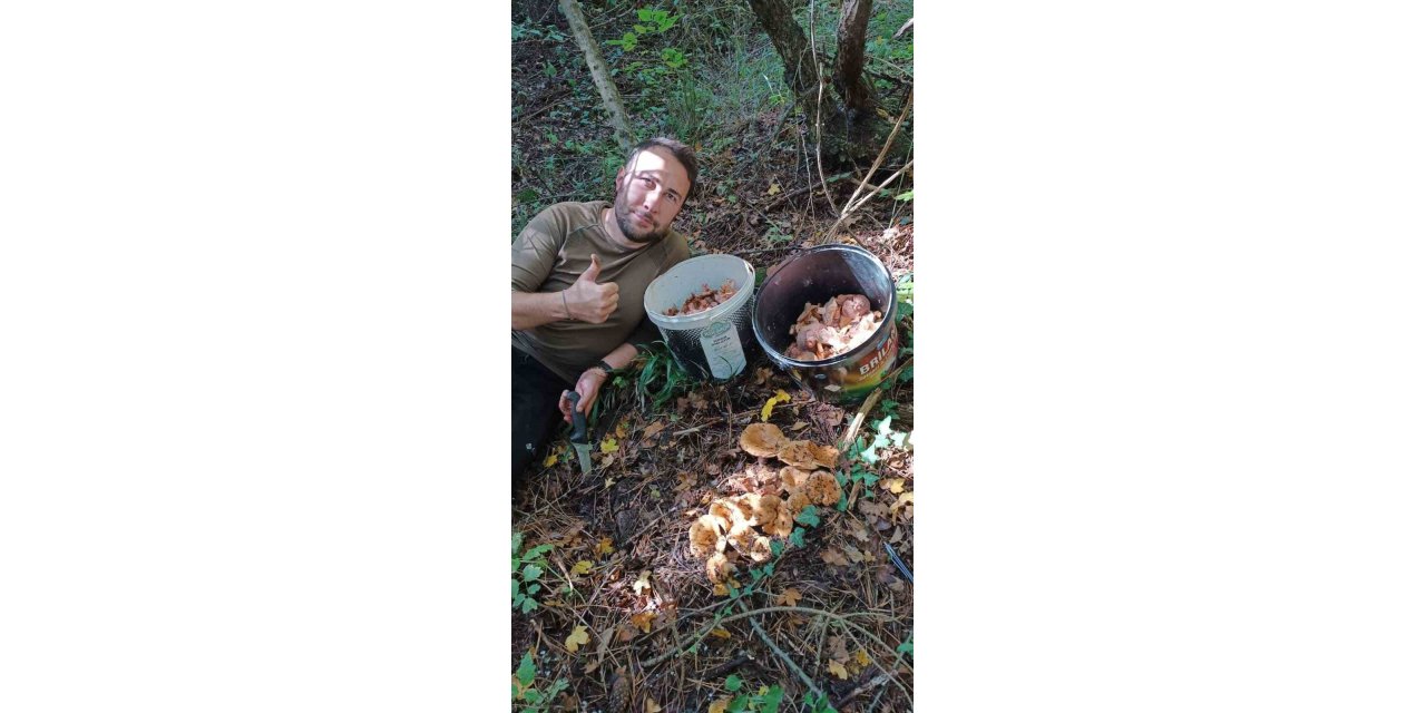 Bolu ormanlarında mantar bereketi: 25 kilo kanlıca topladı