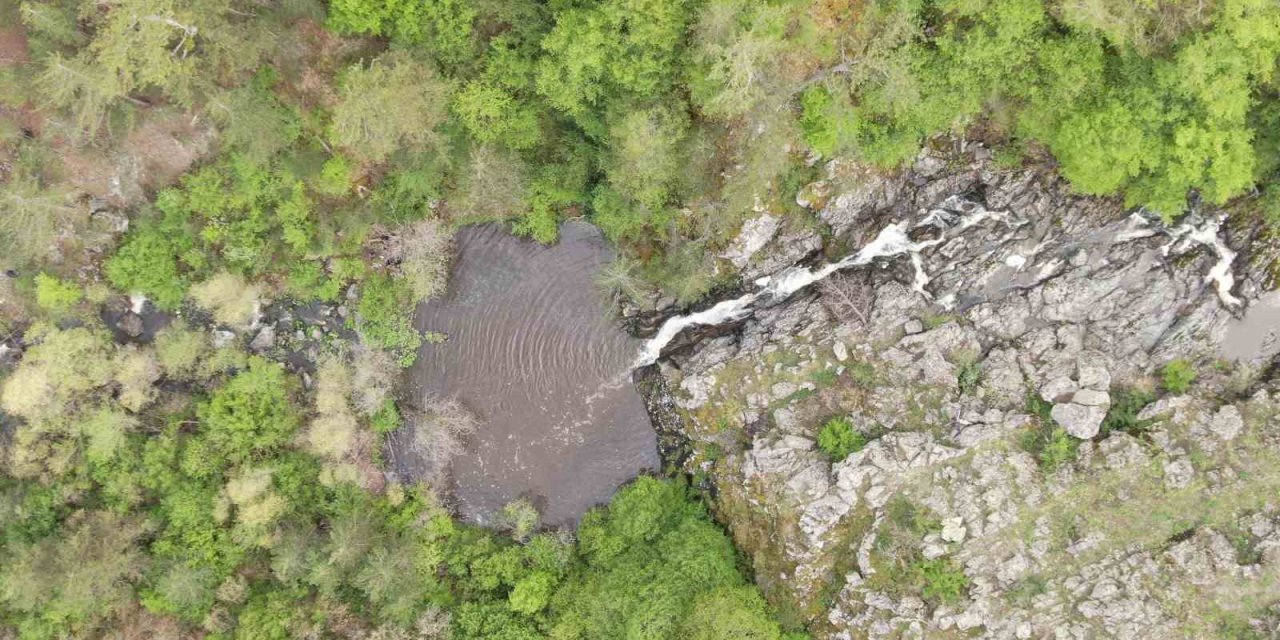 Ormanın içerisindeki şelale görenleri mest ediyor