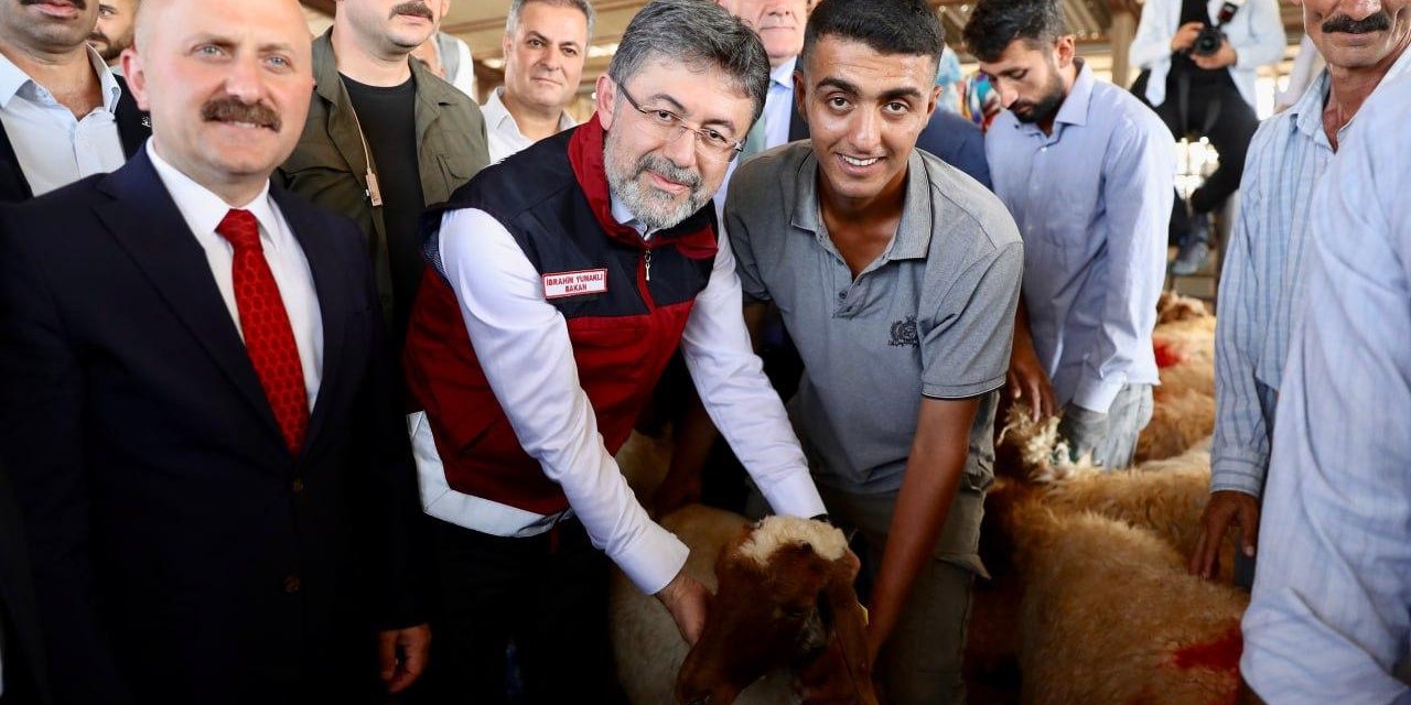 Deprem Bölgesinde Küçükbaş, Kanatlı Hayvan Ve Arılı Kovan Dağıtımı Tamamlandı