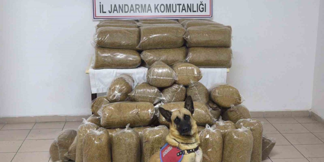 Tokat’ta 340 kilo kaçak tütün ele geçirildi