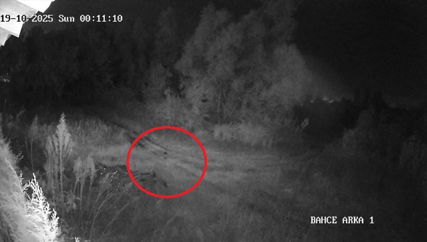 Samsun’da 2 haftadır kayıp olan genç ilçede paniğe yol açtı: Vatandaşlar tedirgin