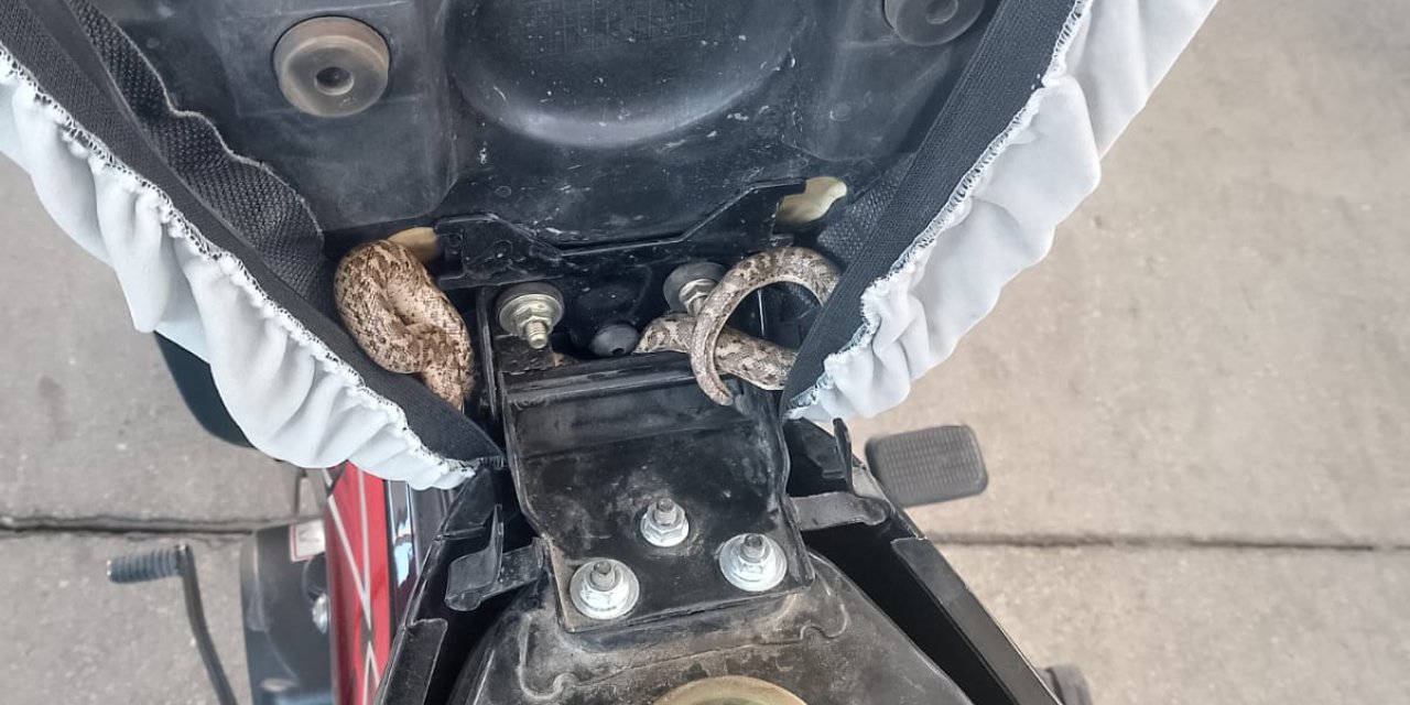 Yakıt Almak İçin Getirilen Motosikletin Selesinin Altından Yılan Çıktı