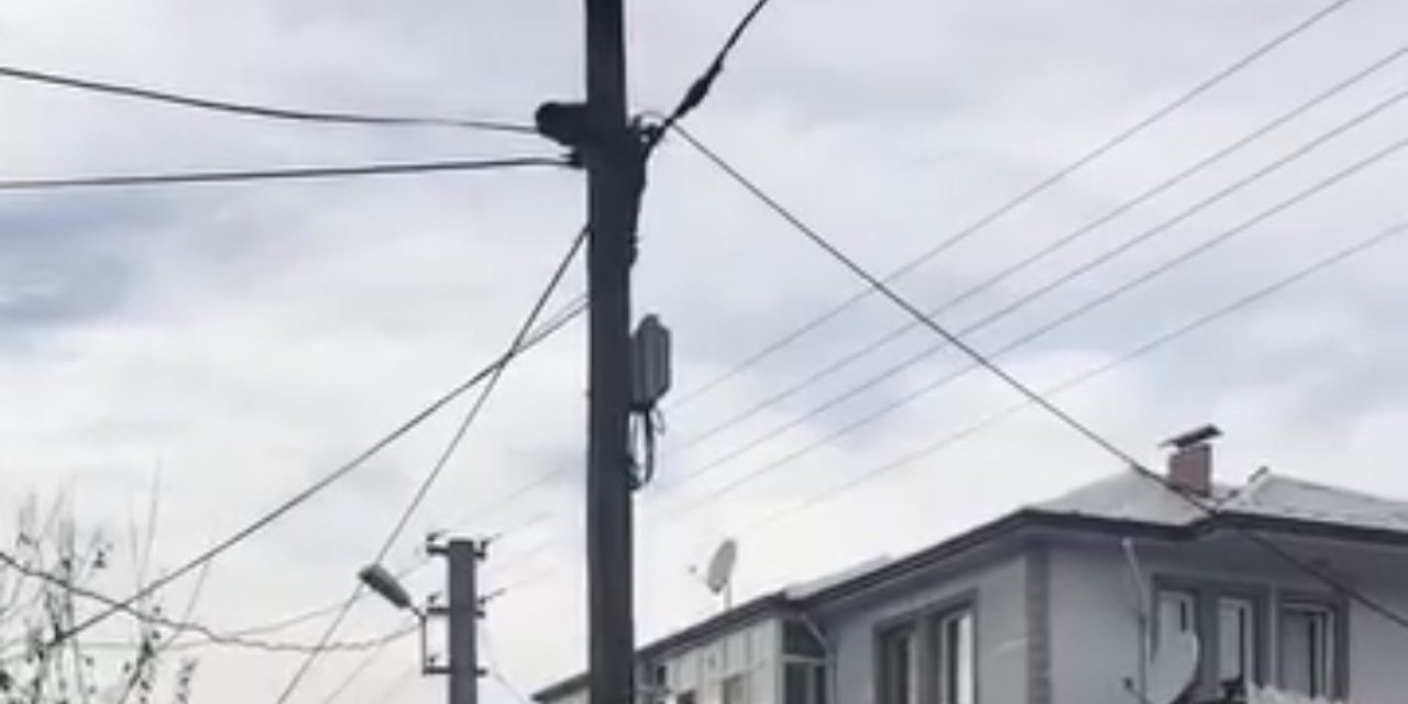 Köpeklerden kaçtı, direkte mahsur kaldı