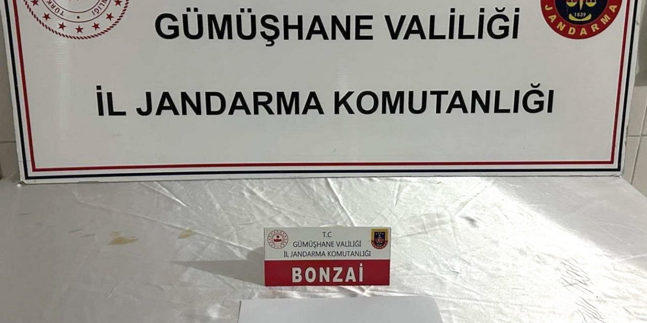 Gümüşhane’de jandarmadan uyuşturucu operasyonu