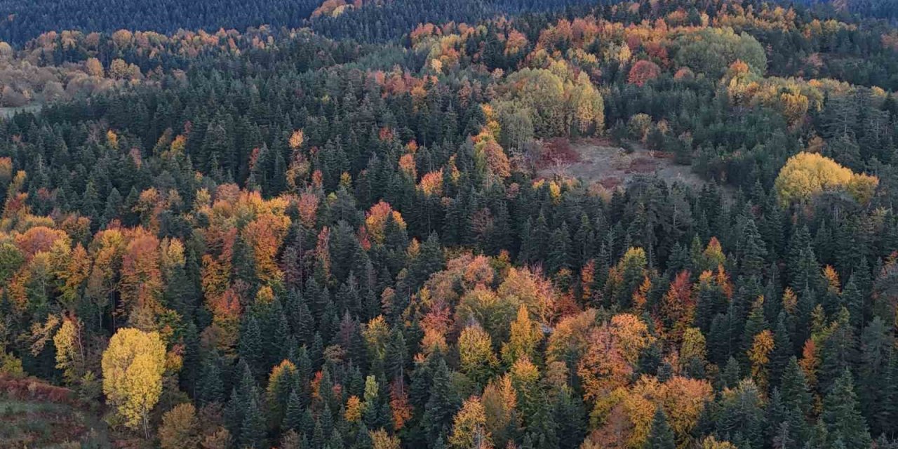 Sinop’ta sonbaharda renk cümbüşü yaşanıyor