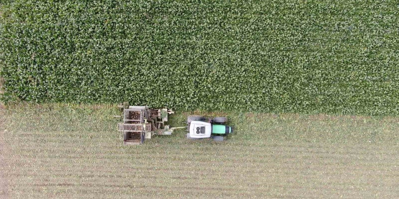 Kastamonu’da çiftçilerin zorlu pancar mesaisi devam ediyor