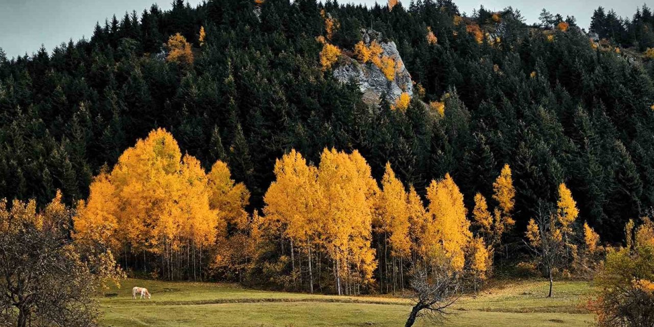 Şavşat’tan kartpostallık manzaralar