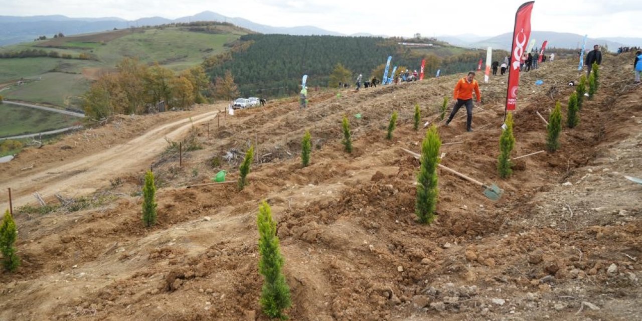 Samsun’da 11 Kasım Milli Ağaçlandırma Günü’nde 37 bin 380 fidan toprakla buluşacak