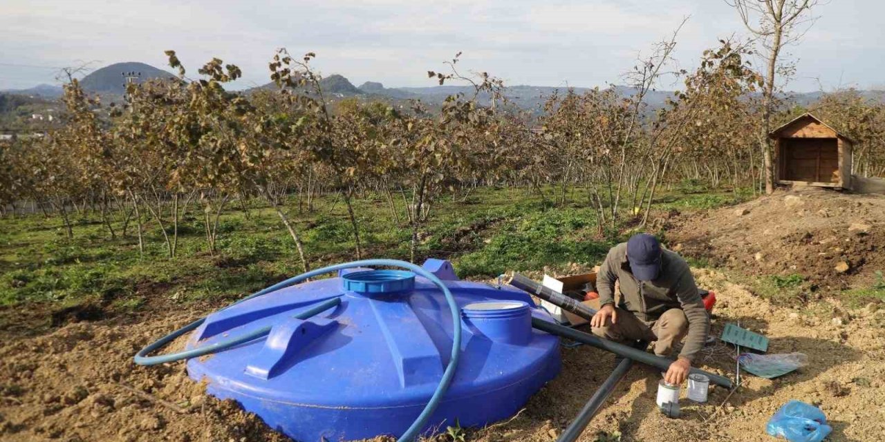 Ordu’da fındık bahçelerine kuraklık tehlikesine karşı damlama sistemi