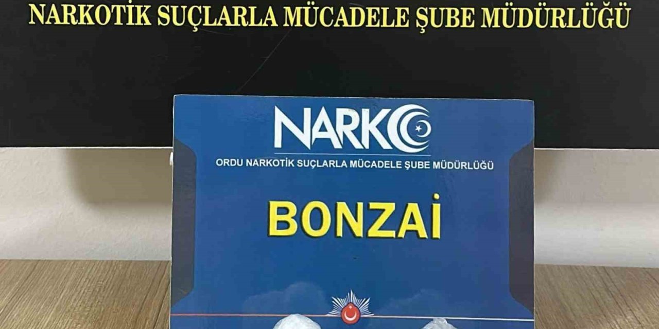 Ordu’da uyuşturucu operasyonları: 5 tutuklama