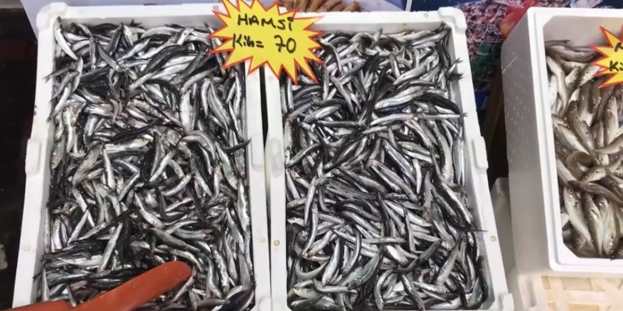 Akçakoca’dan balık tüketicilerine uyarı: "Buzhane balığına dikkat"