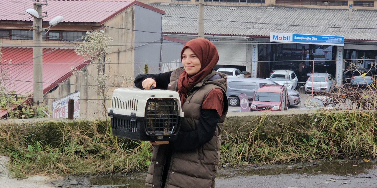 Zonguldak'ta ‘öldü' sanılan kedi, bacağında mermiyle geri döndü