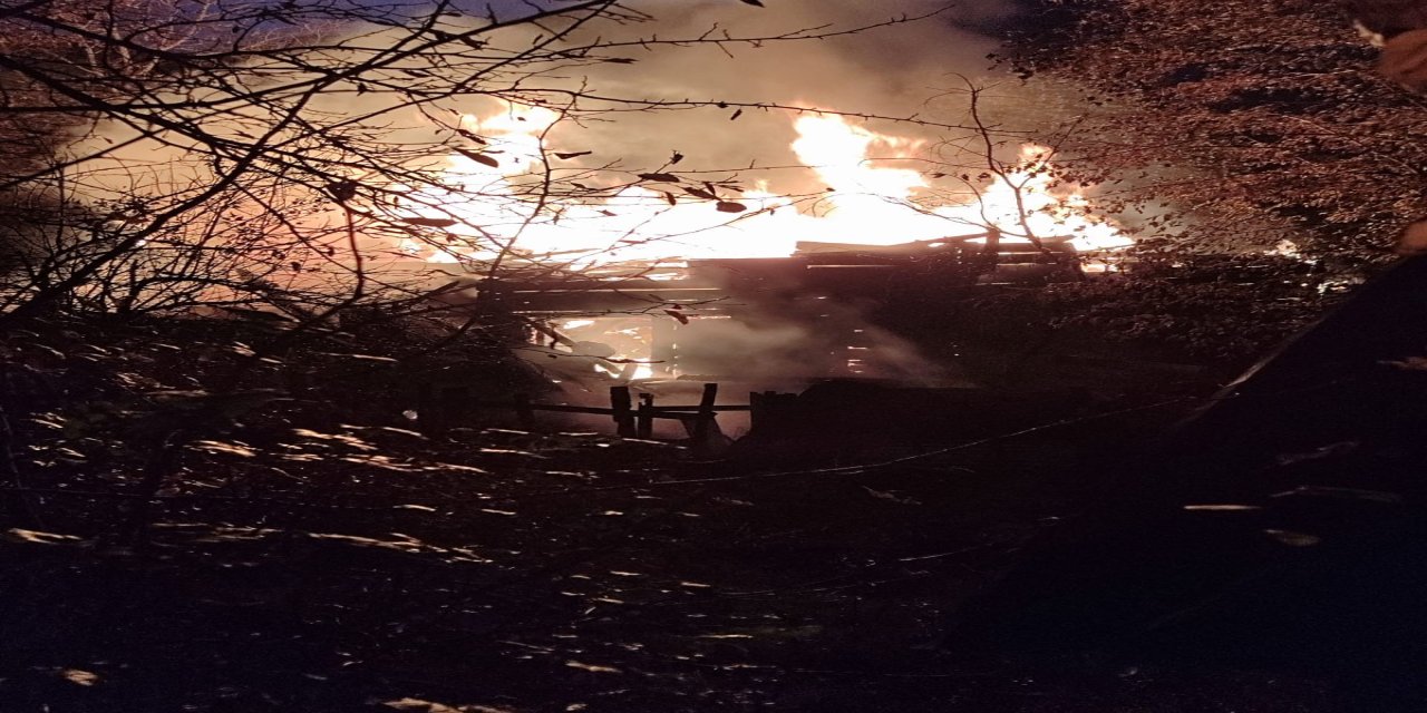 Alevlerin sardığı ahşap ev tamamen yandı: 2 yaralı