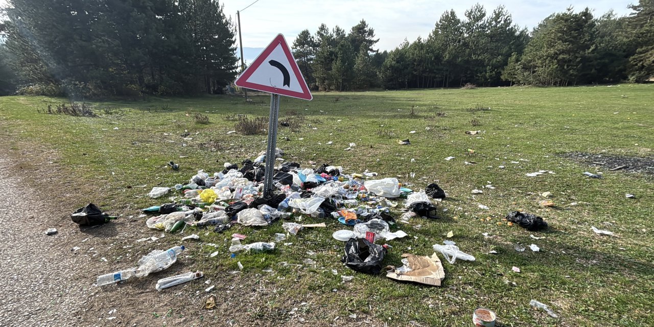 Ormanlık alanda çöp yığınları