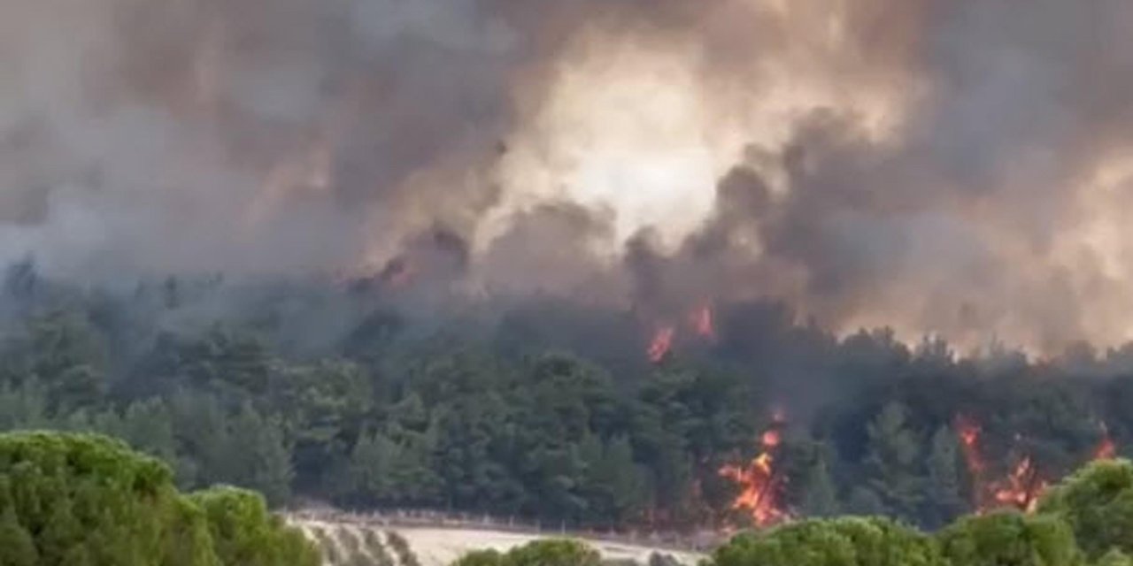 İzmir'de Orman Yangını