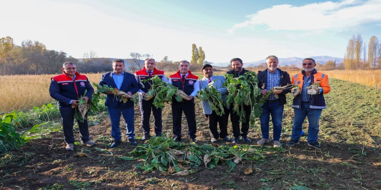 Bayburt’un Çiftetaş köyünde şeker pancarı hasadına başlandı