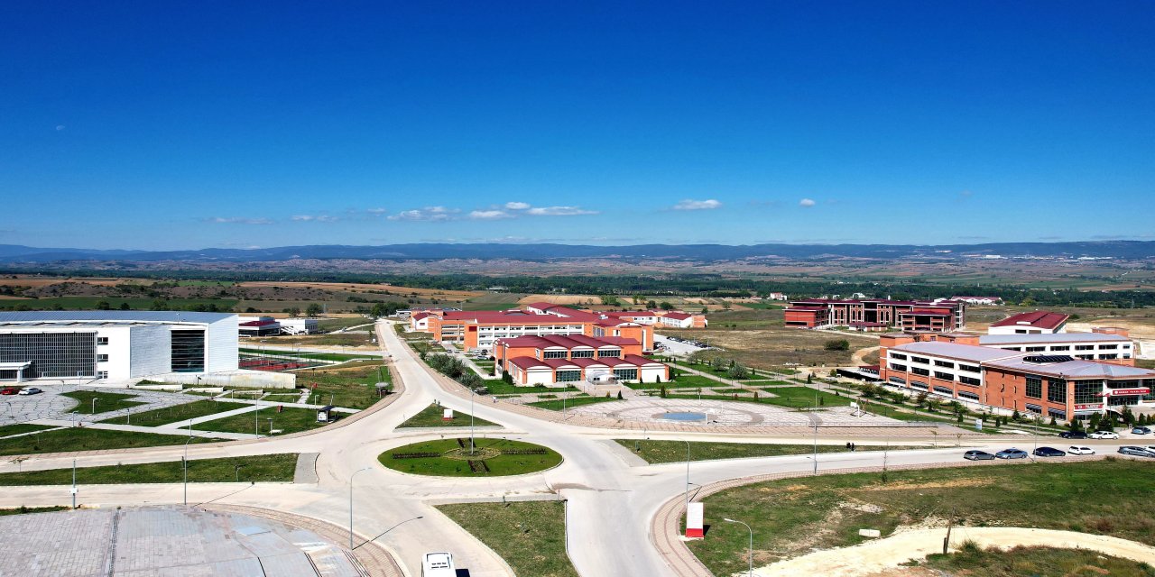 Kastamonu Üniversitesi, kenelerle bulaşan hastalığı araştıracak