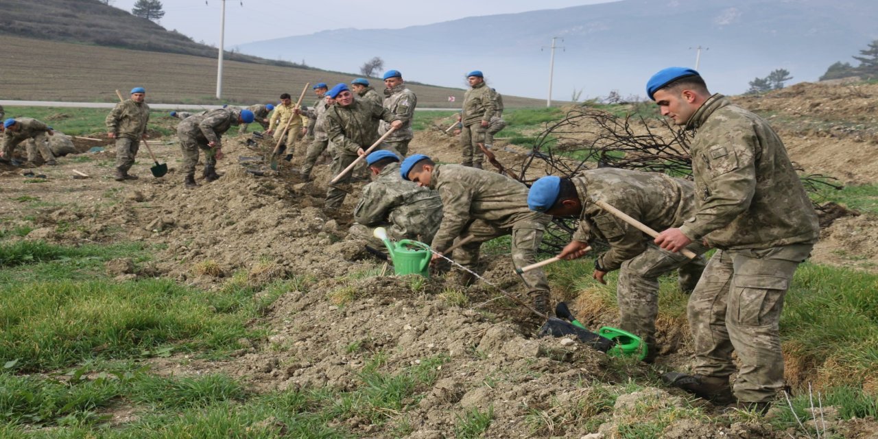 Bolu'da komandolar yeşil vatanda geleceğe nefes oldu