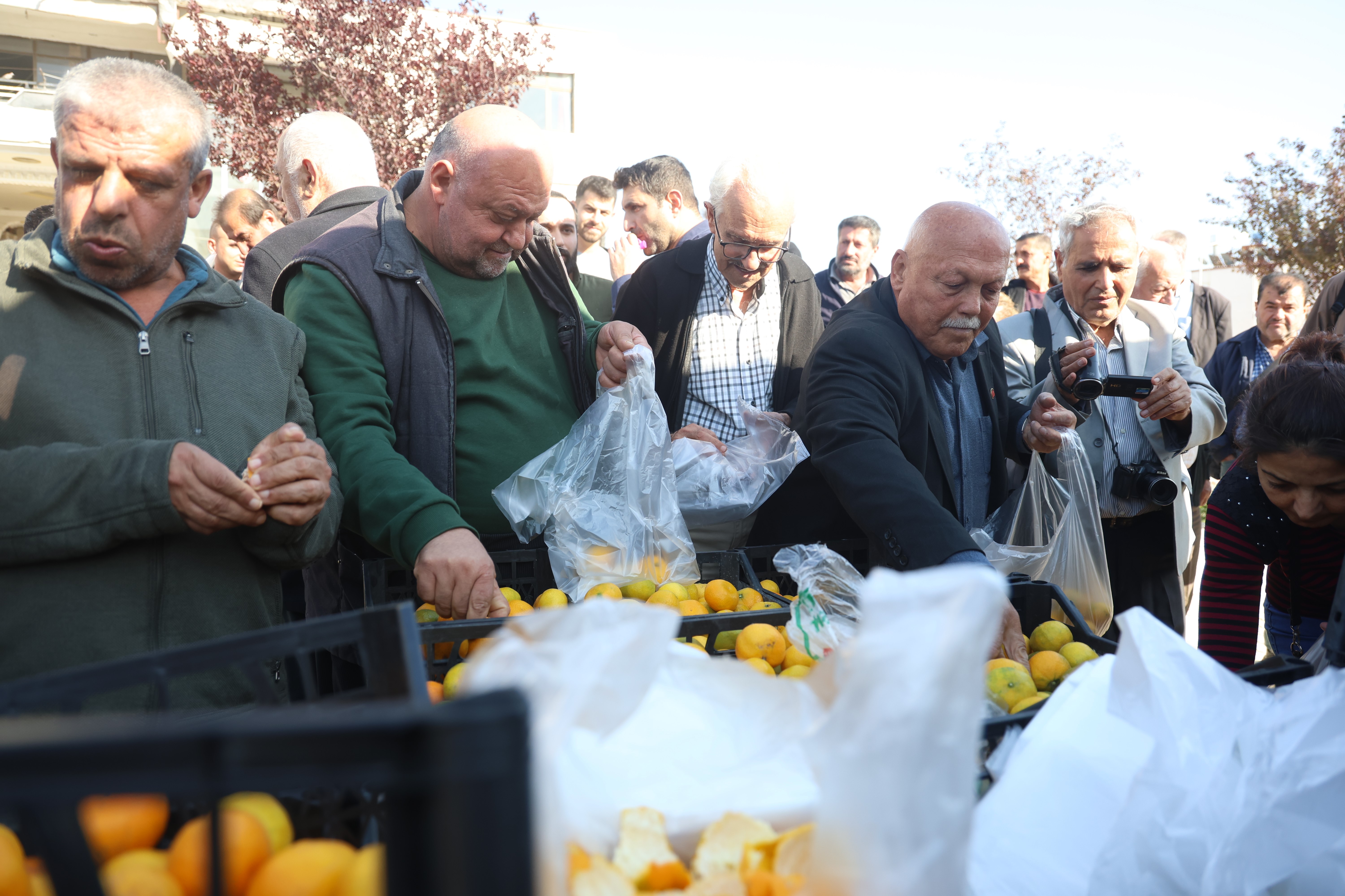 Mandalinanın fiyatı 2 TL'ye düşünce tonlarca ürünü vatandaşlara ücretsiz dağıttılar