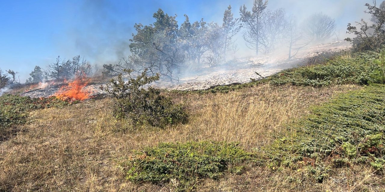 Tokat'ta Orman Yangını 1 Saatte Kontrol Altına Alındı