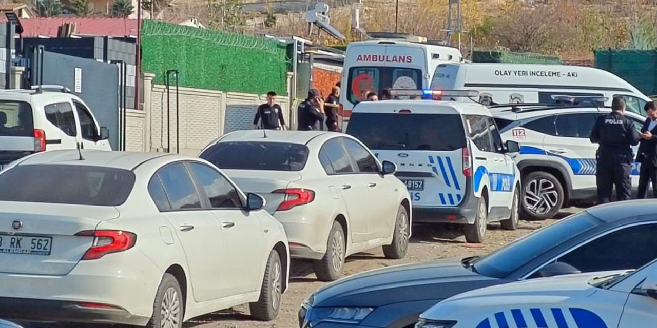 Miras kavgası kanlı bitti: Kaynanasını öldürüp intihar etti