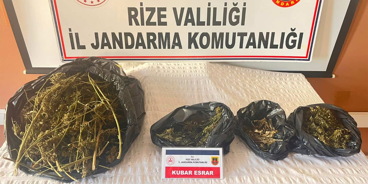 Rize'de 62 yaşındaki esrar yetiştiricisi yakalandı
