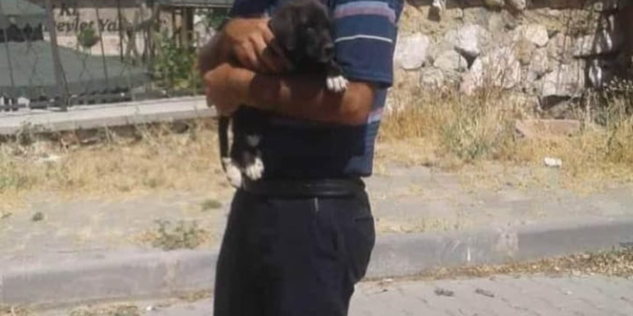 Elazığ'da Kayıp Emekli Sağlık Memuru, Çayda Ölü Bulundu