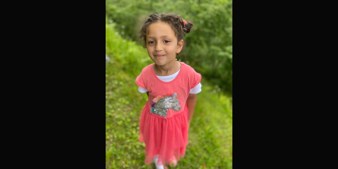 Kaldırımda yürürken dehşeti yaşamışlardı; Minik Elif yaşam mücadelesini kaybetti