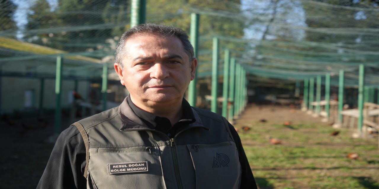 Kahverengi kokarca savaşçıları: 2025'te 3 bin sülün doğaya salındı