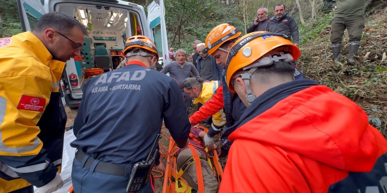 Kestiği ağacın çarptığı vatandaş uçuruma yuvarlandı