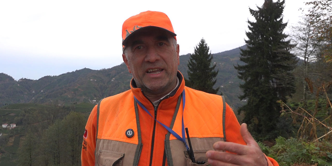 Rize'de ayı için sürek avı başlatıldı