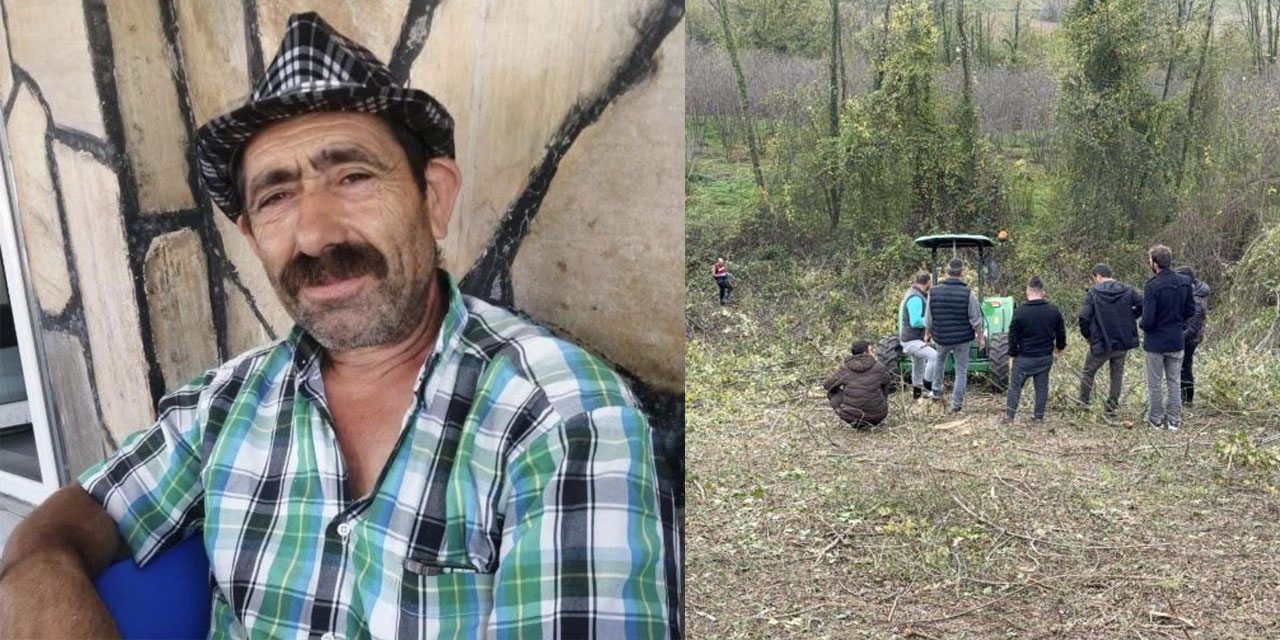 Komşusuna ağaç kesiminde yardım ederken hayatını kaybetti