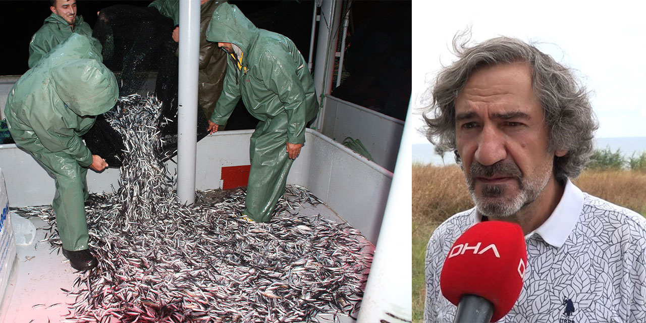 Karadeniz'in Soğumayan Suyu, Endüstriyel Balıkçılığı Olumsuz Etkiliyor