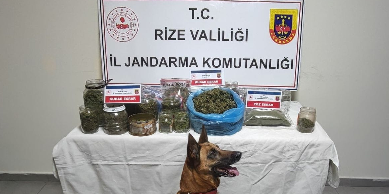 Güneysu'da 5 evden 2 kilo 471 gram esrar çıktı