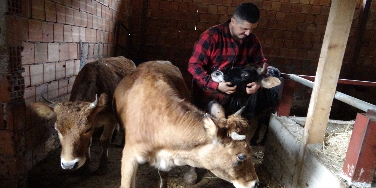 Almanya'dan köyüne döndü, çobanlık yapmaya başladı