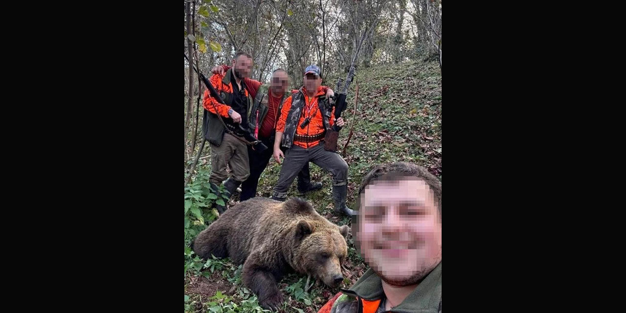 Evlere ve vatandaşlara zarar veren ayı için başlatılan av sonuç verdi, ilk ayı vuruldu