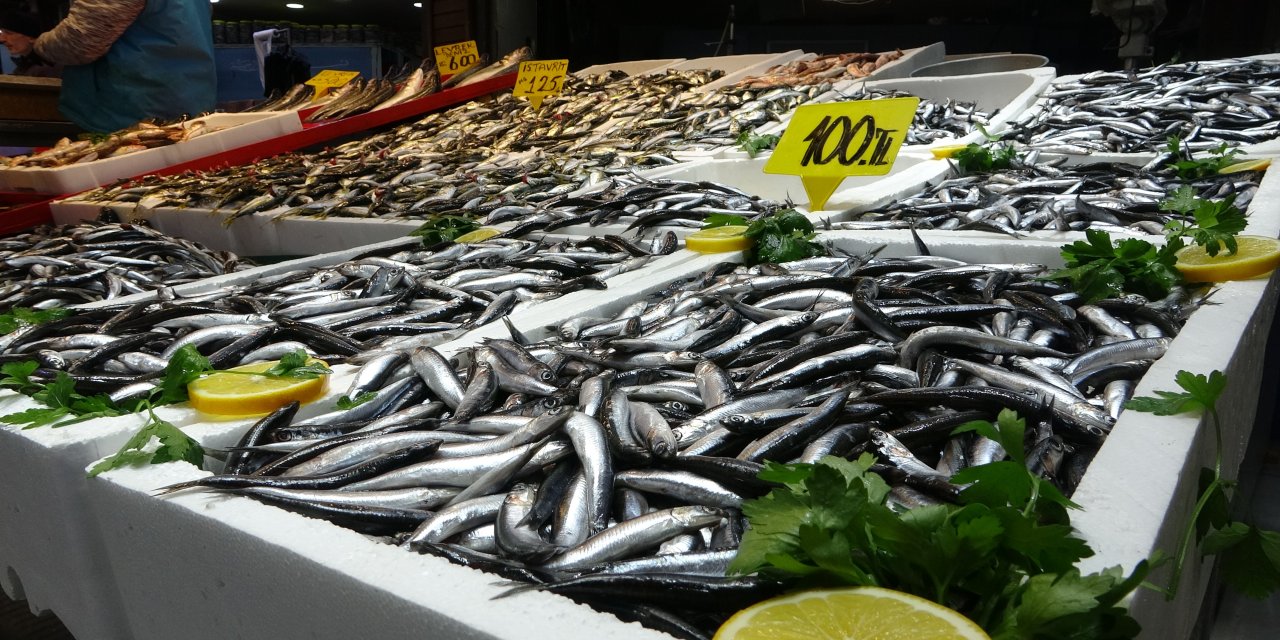 Karadeniz’de hamsi bolluğu sürüyor, mezgit ise birkaç gündür görünmüyor