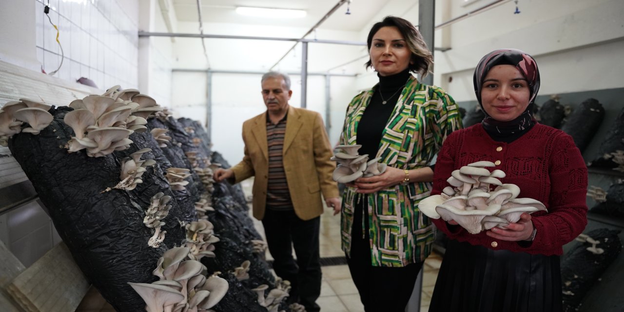 Hem eğitim görüp hem üretiyorlar