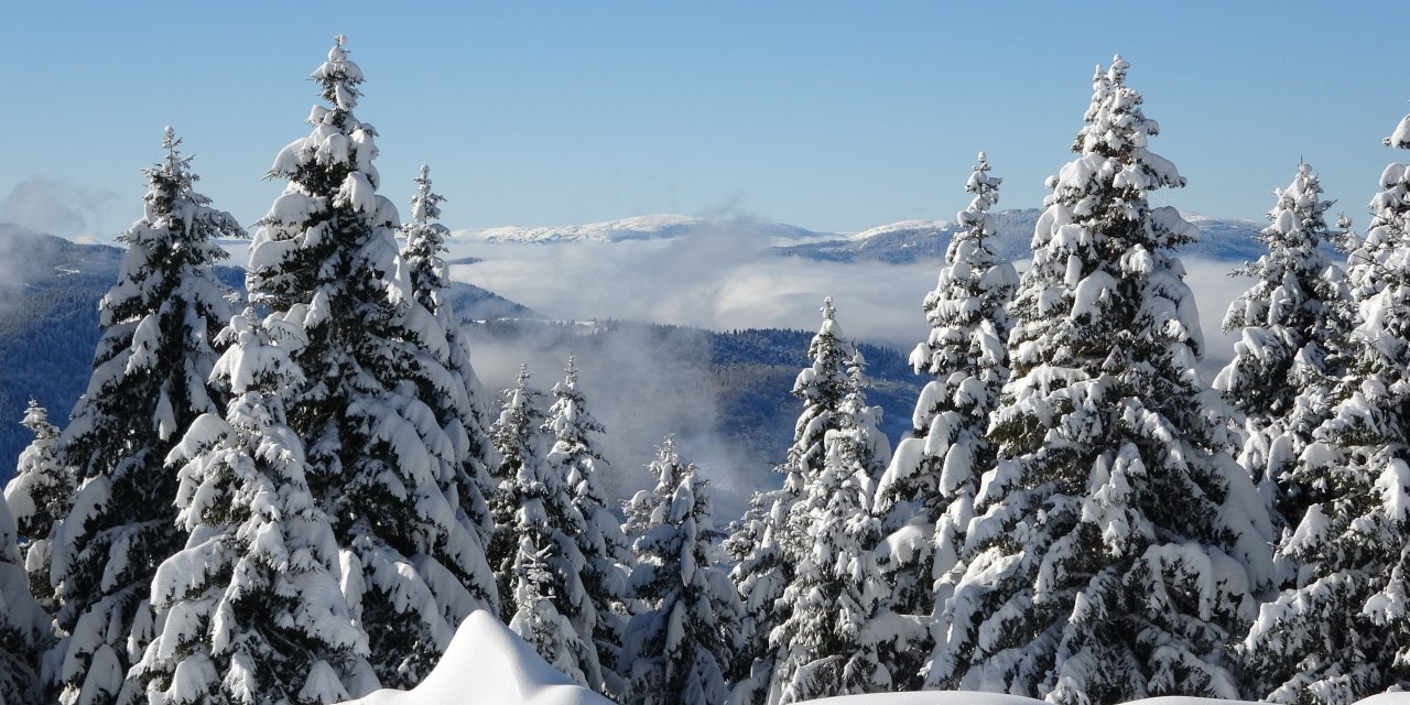 Ordu'da kartpostallık kar manzaraları