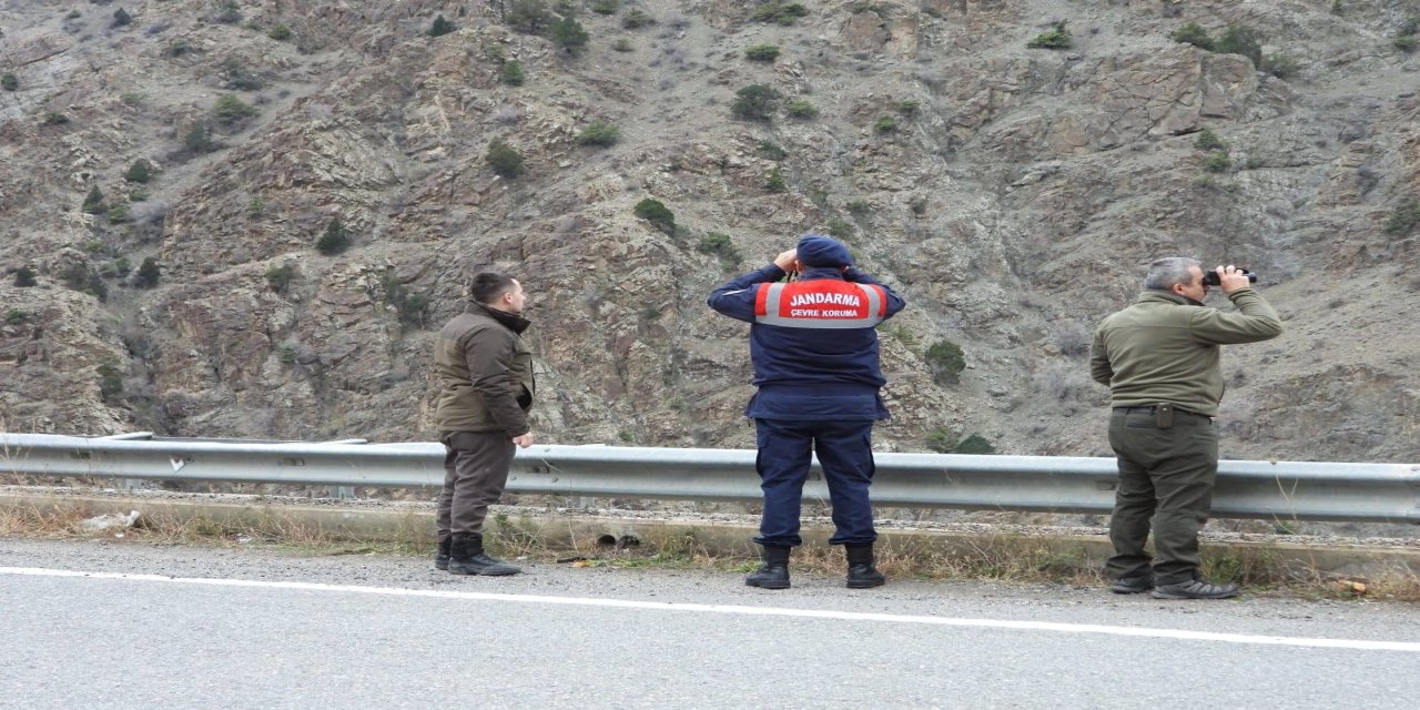 Artvin’de kaçak ve usulsüz avcılığa yönelik denetimler sürüyor