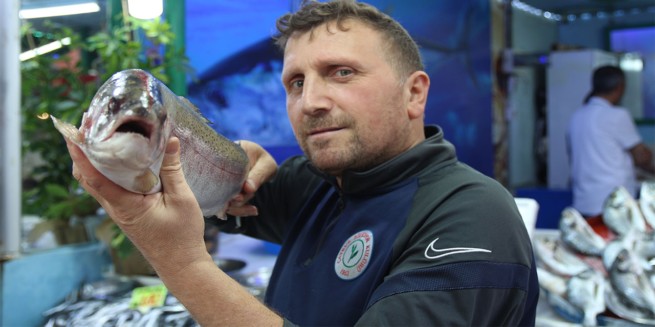 Palamut olmayınca krallık hamsiye kaldı