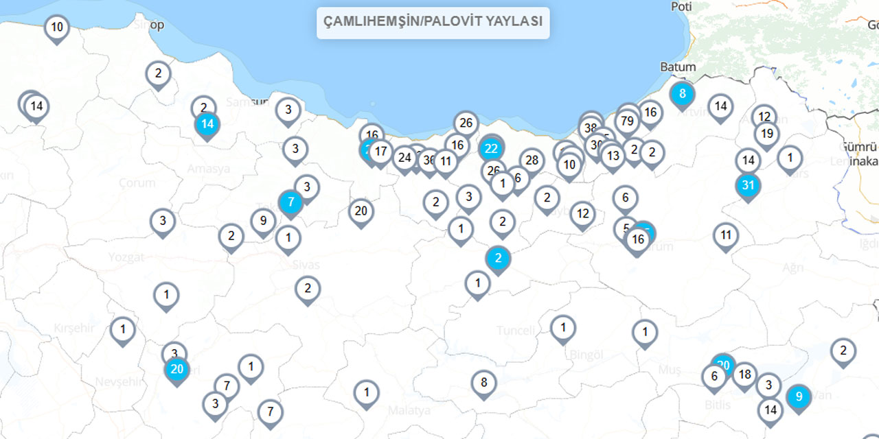 Rize kar kalınlığıyla zirvede