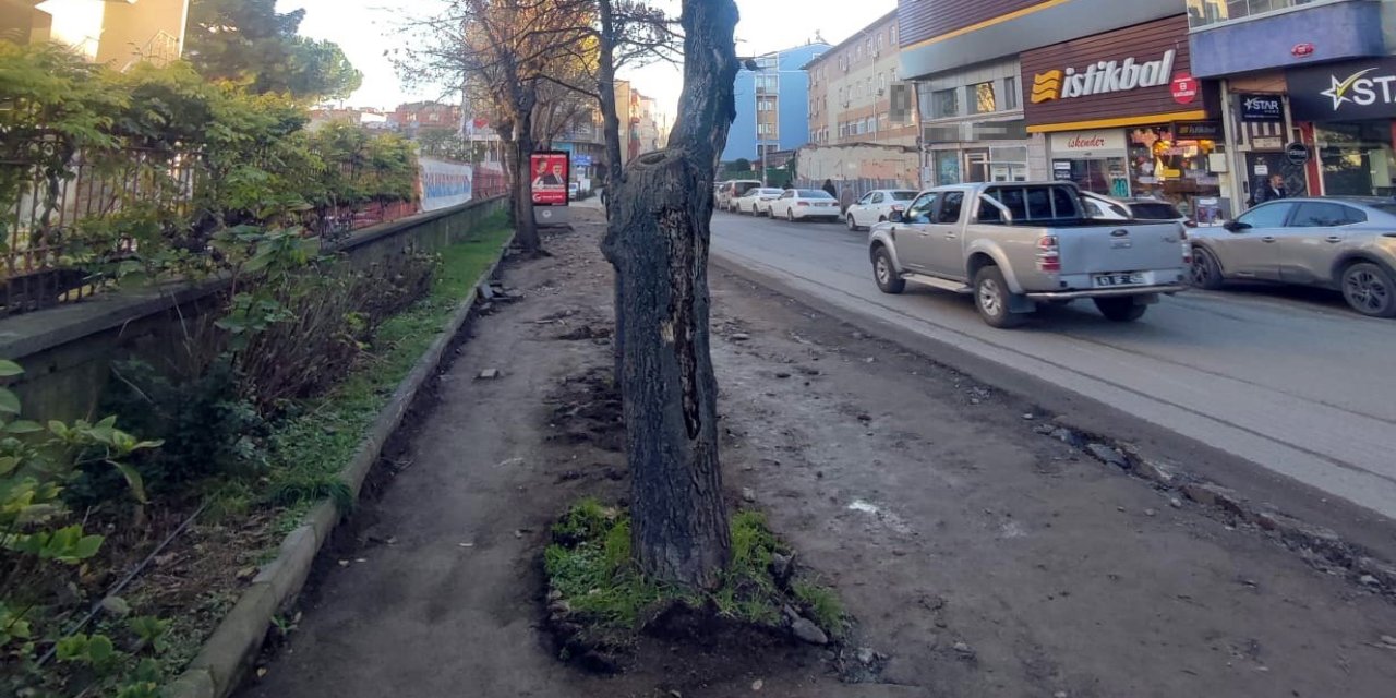 Trabzon Büyükşehir Belediyesi’nden "yeşil dokuya zarar" iddialarına yanıt