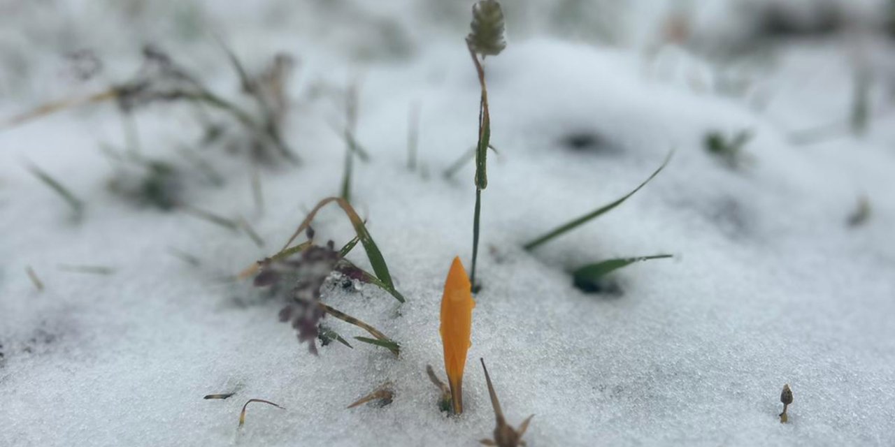 Doğu Karadeniz'de Yükseklere Kar Yağdı