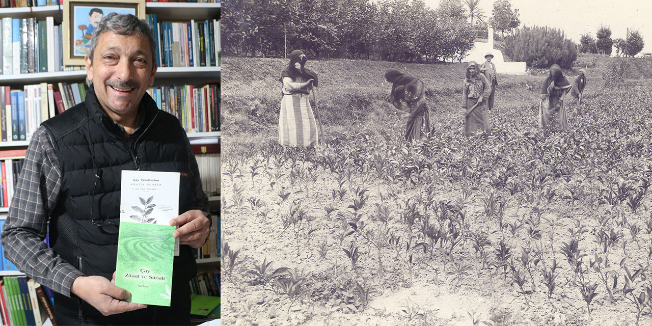 Rizeli Araştırmacı-Yazar Recep Koyuncu Ezberleri Bozdu! Tozlu Raflardan Çıkan Gerçek: Çayın Gizli Kahramanı Rauf Başar