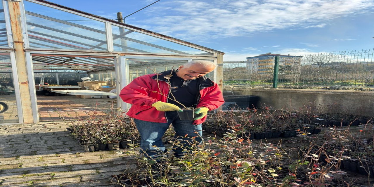 Giresun'dan mavi yemiş atağı