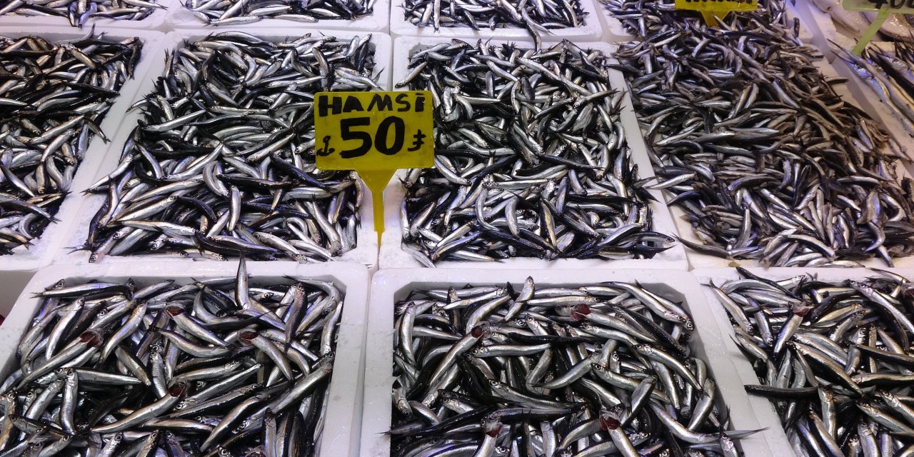 Recep Denizer: "Hamsi Türk karasularını terk etti"