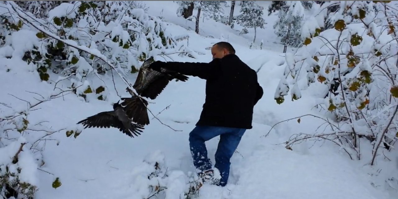 Kargayı atmacanın pençelerinden yoldan geçen vatandaşlar kurtardı